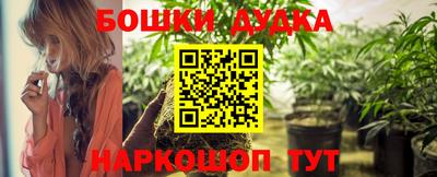 гашик Кинель