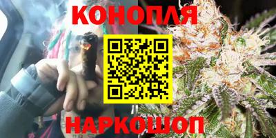 гидра Славгород
