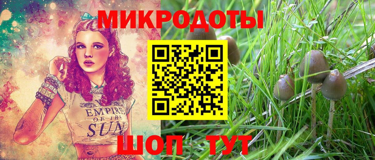 Псилоцибиновые грибы Cubensis Конаково